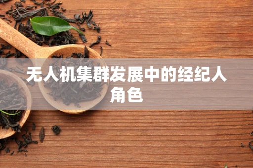无人机集群发展中的经纪人角色