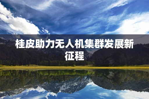 桂皮助力无人机集群发展新征程