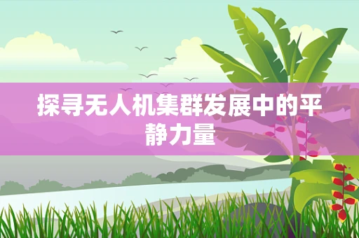 探寻无人机集群发展中的平静力量