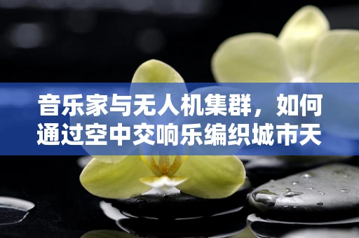 音乐家与无人机集群，如何通过空中交响乐编织城市天际线？