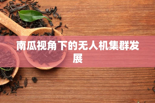南瓜视角下的无人机集群发展