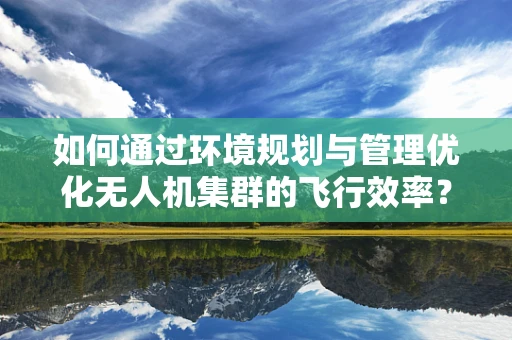 如何通过环境规划与管理优化无人机集群的飞行效率？