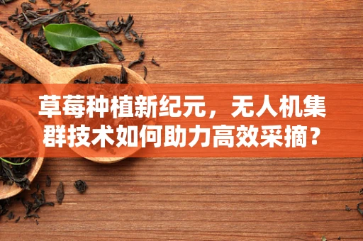 草莓种植新纪元，无人机集群技术如何助力高效采摘？