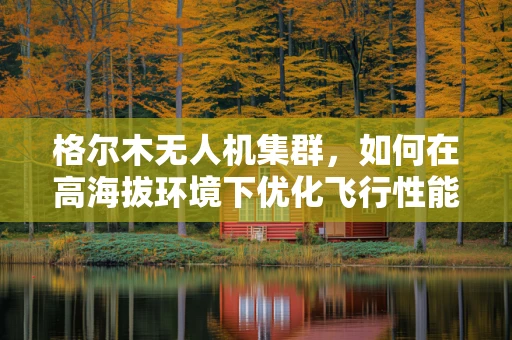 格尔木无人机集群，如何在高海拔环境下优化飞行性能？