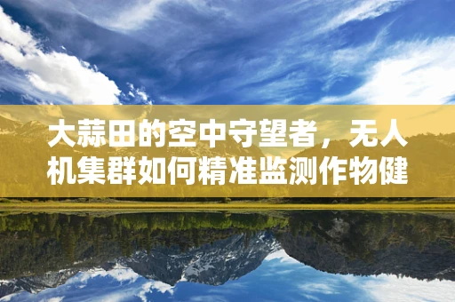 大蒜田的空中守望者，无人机集群如何精准监测作物健康？