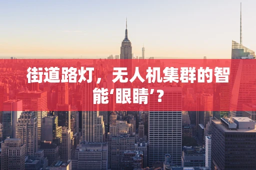 街道路灯，无人机集群的智能‘眼睛’？