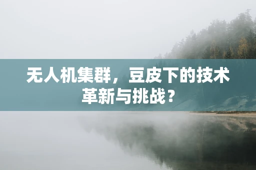 无人机集群，豆皮下的技术革新与挑战？
