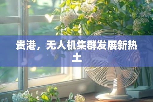 贵港，无人机集群发展新热土