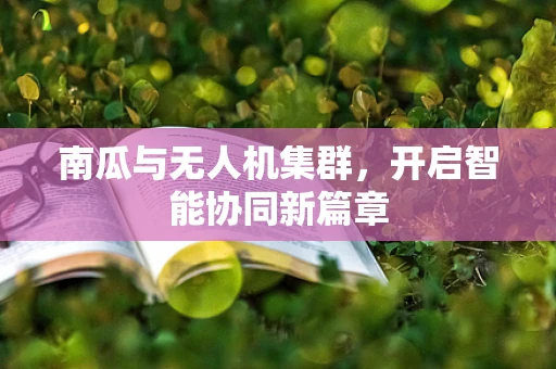 南瓜与无人机集群，开启智能协同新篇章