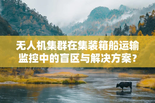 无人机集群在集装箱船运输监控中的盲区与解决方案？