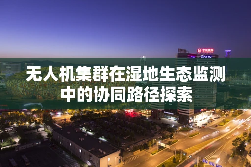 无人机集群在湿地生态监测中的协同路径探索
