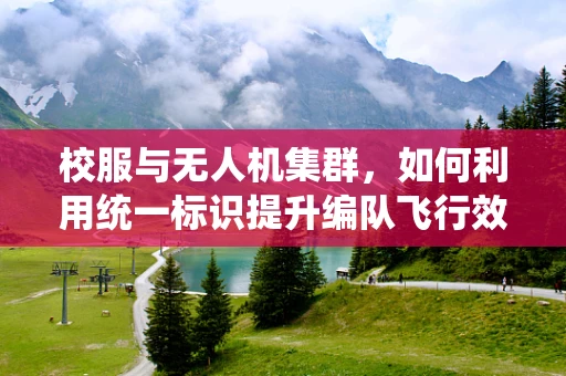 校服与无人机集群，如何利用统一标识提升编队飞行效率？