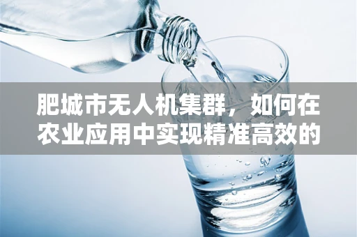 肥城市无人机集群，如何在农业应用中实现精准高效的空中农场？