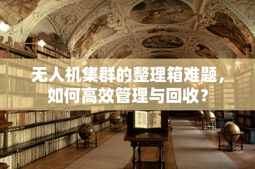 无人机集群的整理箱难题，如何高效管理与回收？