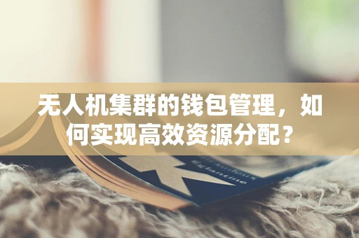 无人机集群的钱包管理，如何实现高效资源分配？