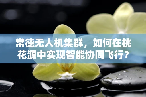 常德无人机集群，如何在桃花源中实现智能协同飞行？