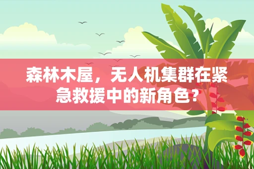 森林木屋，无人机集群在紧急救援中的新角色？