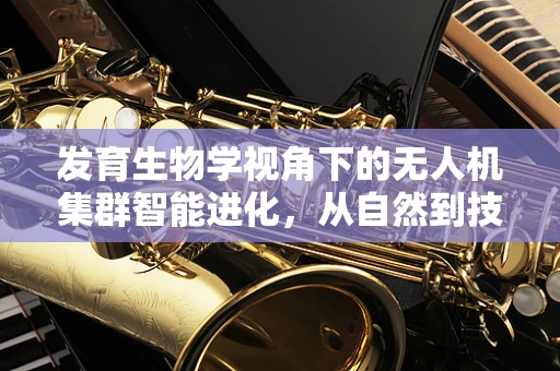 发育生物学视角下的无人机集群智能进化，从自然到技术的启示