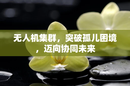 无人机集群，突破孤儿困境，迈向协同未来