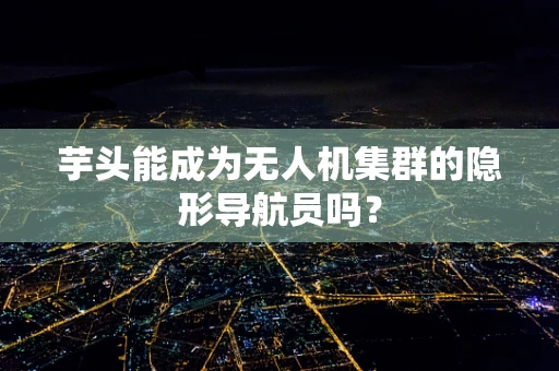 芋头能成为无人机集群的隐形导航员吗？