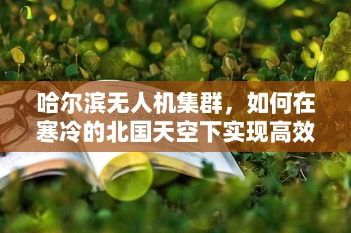 哈尔滨无人机集群，如何在寒冷的北国天空下实现高效协同？