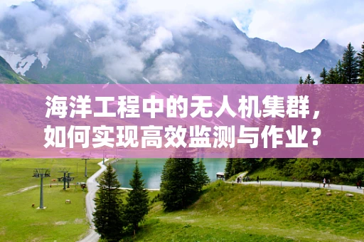海洋工程中的无人机集群，如何实现高效监测与作业？