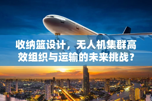 收纳篮设计，无人机集群高效组织与运输的未来挑战？
