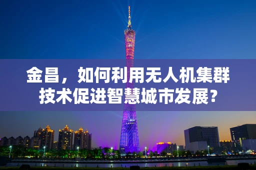 金昌，如何利用无人机集群技术促进智慧城市发展？
