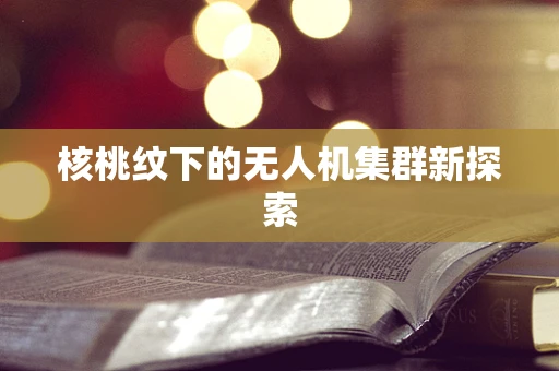 核桃纹下的无人机集群新探索