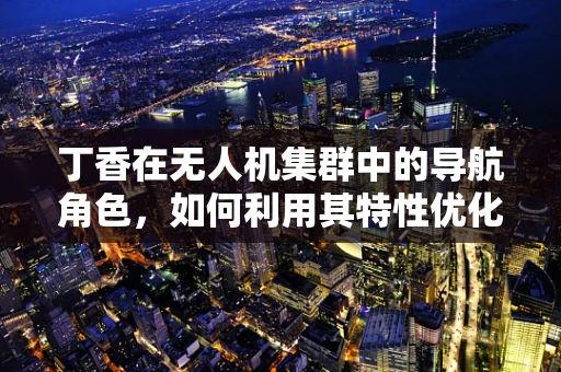 丁香在无人机集群中的导航角色，如何利用其特性优化集群协同？