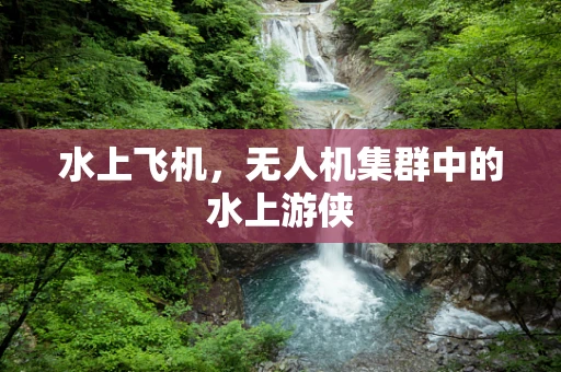水上飞机，无人机集群中的水上游侠
