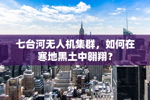 七台河无人机集群，如何在寒地黑土中翱翔？