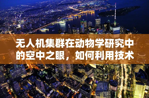 无人机集群在动物学研究中的空中之眼，如何利用技术洞察自然界的群体行为？