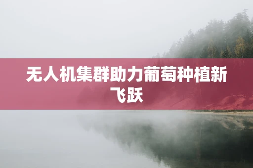 无人机集群助力葡萄种植新飞跃