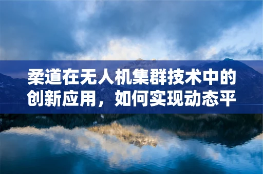 柔道在无人机集群技术中的创新应用，如何实现动态平衡与高效协同？