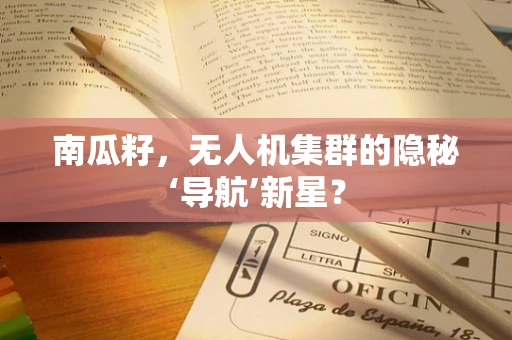 南瓜籽，无人机集群的隐秘‘导航’新星？