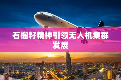 石榴籽精神引领无人机集群发展
