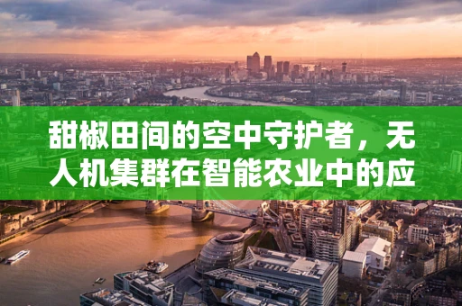 甜椒田间的空中守护者，无人机集群在智能农业中的应用挑战