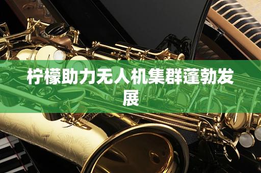 柠檬助力无人机集群蓬勃发展