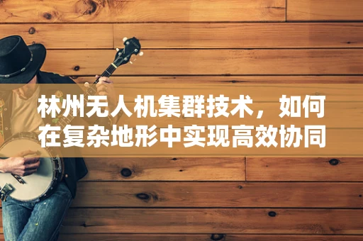 林州无人机集群技术，如何在复杂地形中实现高效协同？