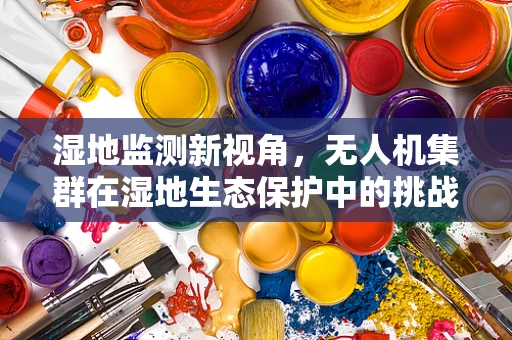 湿地监测新视角，无人机集群在湿地生态保护中的挑战与机遇？