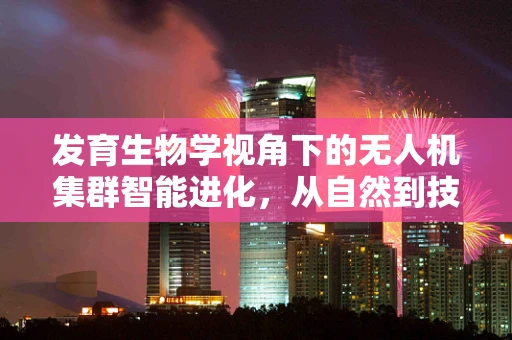 发育生物学视角下的无人机集群智能进化，从自然到技术的飞跃