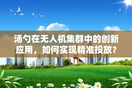 汤勺在无人机集群中的创新应用，如何实现精准投放？