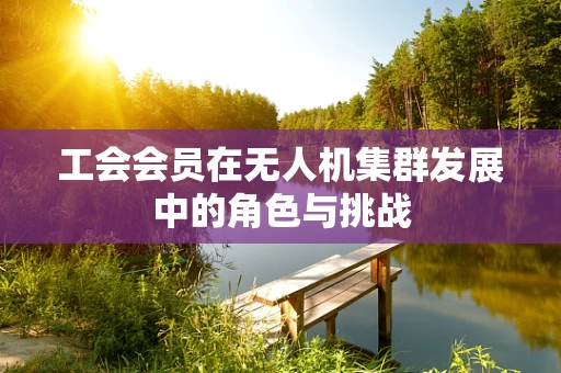 工会会员在无人机集群发展中的角色与挑战