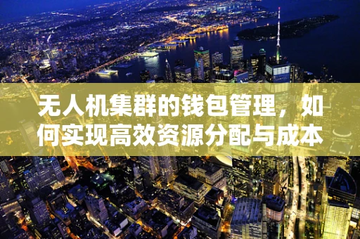 无人机集群的钱包管理，如何实现高效资源分配与成本控制？