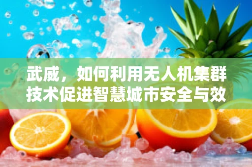 武威，如何利用无人机集群技术促进智慧城市安全与效率的双重提升？