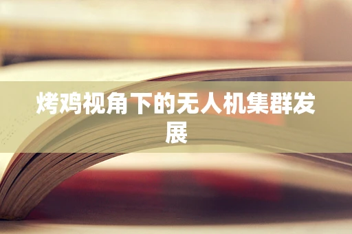 烤鸡视角下的无人机集群发展