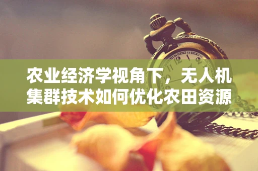 农业经济学视角下，无人机集群技术如何优化农田资源分配？