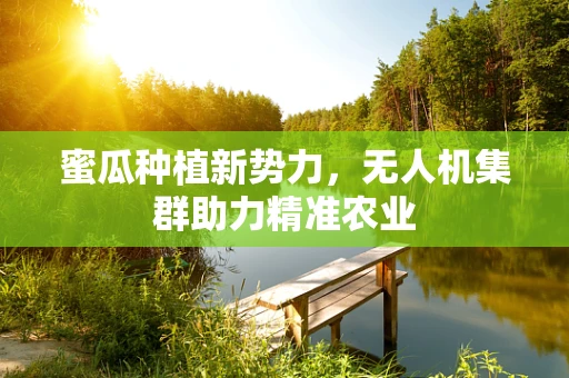 蜜瓜种植新势力，无人机集群助力精准农业
