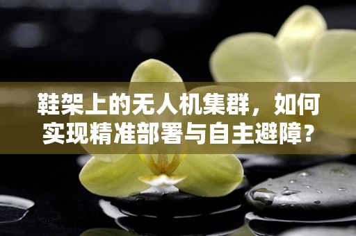 鞋架上的无人机集群，如何实现精准部署与自主避障？
